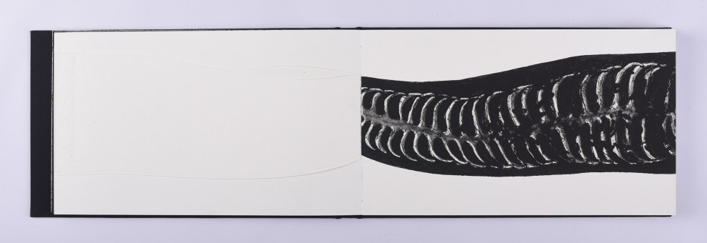 21. Linton Worm, akwaforta, akwatinta, 21,5 x 73